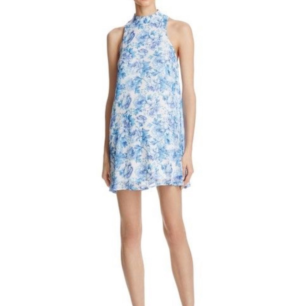 Show Me Your Mumu V Back Mini Dress